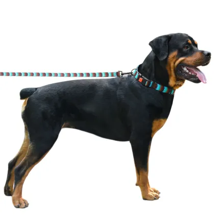 Нашийник для Собак BronzeDog Urban Зигзаг Нейлоновий з Пластиковою Пряжкою Коричнево-Блакитний L — Фото 5