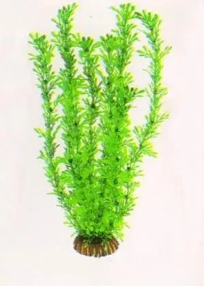 Aquatic Plants (Акватик Плэнтс) Акваріумна рослина, 34 см х 6 шт/уп.