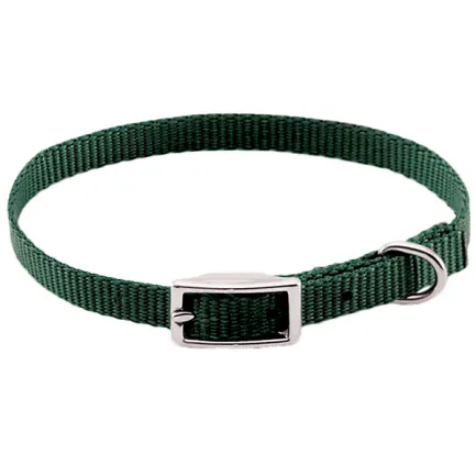 Coastal Nylon Web КОСТАЛ НАЙЛОН ВЕБ нашийник для собак, 1х25см Хакі