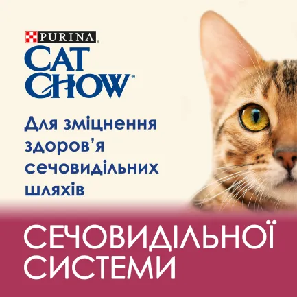 Сухий корм CAT CHOW Urinary для дорослих котів для підтримки здоров'я сечовивідної системи з куркою 1,5 кг — Фото 4