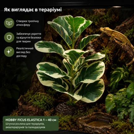 Штучна рослина Hobby Ficus Elastica 1 40 см (37705) для тераріуму, акватераріуму та палюдаріуму — Фото 2