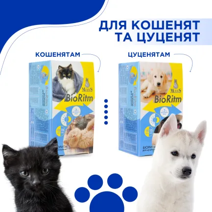 Біоритм (BioRitm) полівітамінний комплекс для кошенят, MODES — Фото 3