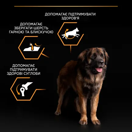 Сухий корм PRO PLAN Large Robust Adult 2+ Everyday Nutrion для дорослих собак великих порід масивної статури з куркою 14 кг — Фото 7