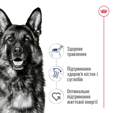 Сухий корм Royal Canin MAXI ADULT 5+ для собак зрілого віку великих порід 15 кг — Фото 5