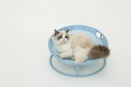 Складаний лежак для домашніх тварин MISOKO Pet bed round, 45x45x22 cm, light blue — Фото 4
