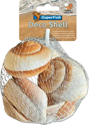 Декоративні мушлі SF DECO SHELL SNAIL BROWN-WHITE 170 GRAM (A4080430)