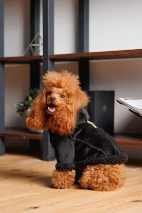 Дублянка Pet Fashion Black S для собак — Фото 5