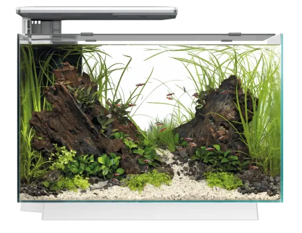 Акваріумний набір SuperFish Quadro 70 Pro White (A4052220)