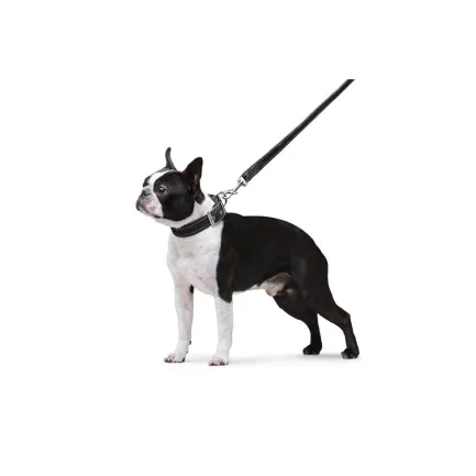 Повідець "Dog Extreme" з нейлону подвійний (ширина 20мм, довжина 122см), чорний — Фото 5