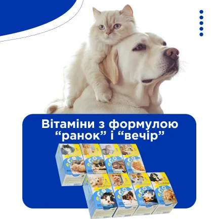 Біоритм (BioRitm) полівітамінний комплекс для кошенят, MODES — Фото 1