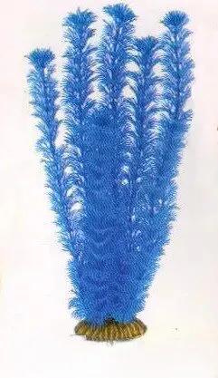 Aquatic Plants (Акватик Плэнтс) Акваріумна рослина, 29 см х 6 шт/уп.