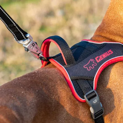 Ferplast GENIUS MEDIUM RED HARNESS нейлонова шлея для тварин червона — Фото 3