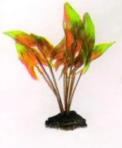 Aquatic Plants (Акватик Плэнтс) Акваріумна рослина, 20 см х 8 шт/уп. арт.2019
