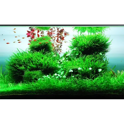 Добриво для акваскейпінгу з високим вмістом NPK та мікроелементів Easy-Life GreenScape 500мл (GS0500) — Фото 1