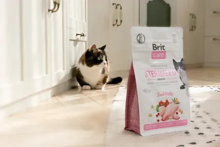 Сухий корм Brit Care Cat GF Sterilized Sensitive для стерилізованих котів з чутливим травленням, з кроликом, 7 кг — Фото 4