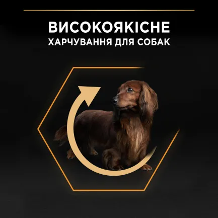 Сухий корм PRO PLAN Small&amp;Mini Adult 1+ Everyday Nutrion для дорослих собак дрібних порід з куркою 700 г — Фото 3