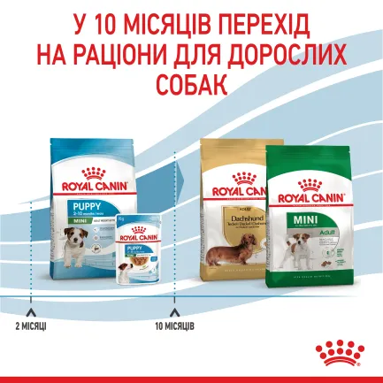 Сухий корм Royal Canin MINI PUPPY для цуценят малих порід 2 кг — Фото 6