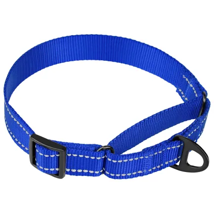 Нашийник для собак Мартінґейл Bronzedog Active нейлоновий зі світловідбиттям синій L — Фото 1