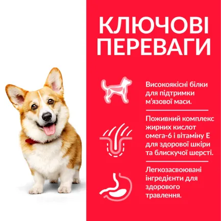 Hill’s Science Plan Adult Small&amp;Mini Сухий корм для дорослих собак малих і мініатюрних порід, з куркою, 1,5 кг — Фото 2