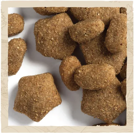 Сухий корм DOG CHOW Active Adult 1+ для дорослих собак з підвищеною активністю з куркою 2,5 кг — Фото 8