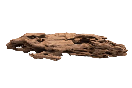 Дерево зі стільниками HONEYCOMB WOOD LARGE (A4080370)