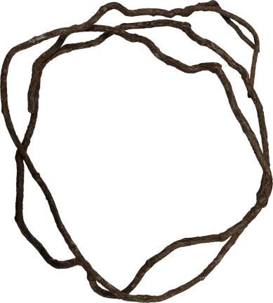 Декорація REPTO TREE VINE 300 CM (R5100285) ліана натуральна