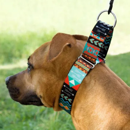 Нашийник для Собак Мартінґейл BronzeDog Urban Нейлоновий з Металевою Фурнітурою Ацтеки XL — Фото 4