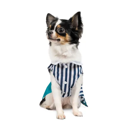 Сукня Pet Fashion «Band» для дівчаток, розмір XS, в морському стилі — Фото 1