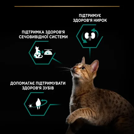 Сухий корм PRO PLAN Sterilised Adult 1+ Renal Plus для дорослих котів після стерилізації з кроликом 10 кг — Фото 5