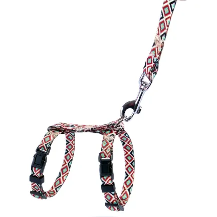 Шлея з повідцем для Котів та Дрібних Собак BronzeDog Urban Гуцульська Коричнева XS — Фото 2