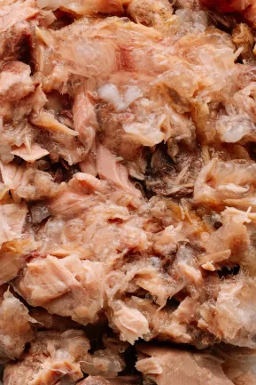 Корм вологий Savory Tuna Fillets rich in Mackerel in Jelly for Adult Cats філе тунця з макреллю в желе для дорослих котів, 70 г — Фото 3