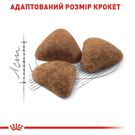 Сухий корм Royal Canin INDOOR для котів всіх порід 4 кг — Фото 5