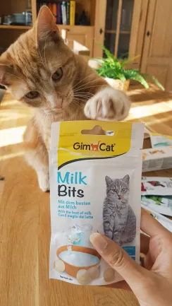Вітамінізовані ласощі для котів GimCat MilkBits з молоком, 40 г — Фото 2