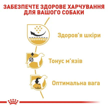 Сухий корм Royal Canin PUG ADULT для дорослих собак породи Мопс 3 кг — Фото 2
