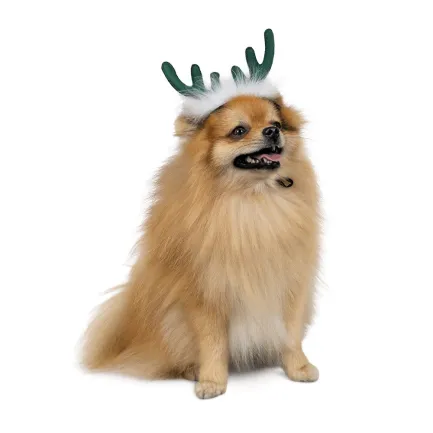 Аксесуар-ріжки Pet Fashion "Deer" для собак, розмір M-L, зелені — Фото 1