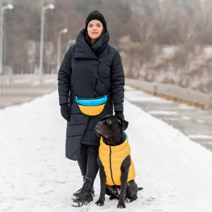 Двостороння курточка AiryVest для собак , "Colors of freedom", розмір L 65 — Фото 1