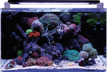 BM REEF 160 AQUARIUM (N4055505) морський акваріумний комплект