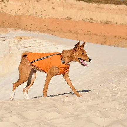 Жилет Pet Fashion «E.Vest» для собак, розмір M2, помаранчевий — Фото 3