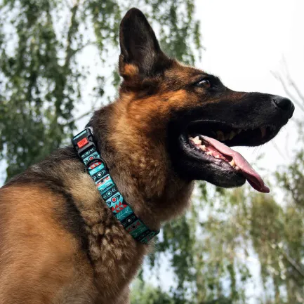 Нашийник для Собак BronzeDog Urban Нейлоновий з Пластиковою Пряжкою Інки L — Фото 5
