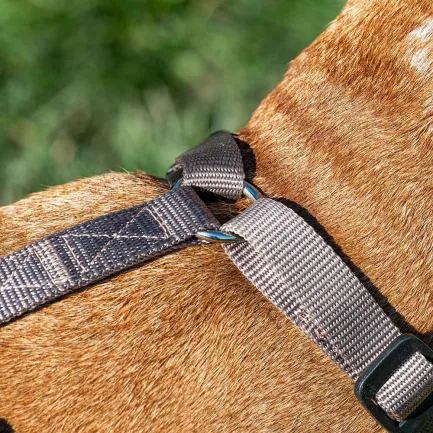 Ferplast BRAVE MEDIUM MARRONE PETTORINA шлея для собак коричнева — Фото 4