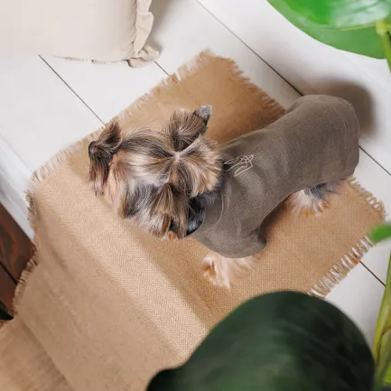 Вишиванка Pet Fashion «Marco» для собак, розмір XS, льняна — Фото 2