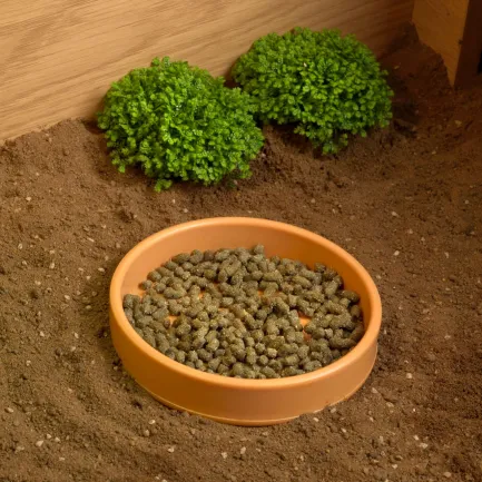 Тераріумний стартовий набір HABISTAT TORTOISE TABLE ACCESSORY KIT (R1100025) — Фото 6