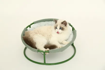 Складаний лежак для домашніх тварин MISOKO Pet bed round plush, 45x45x22 cm, light green — Фото 4