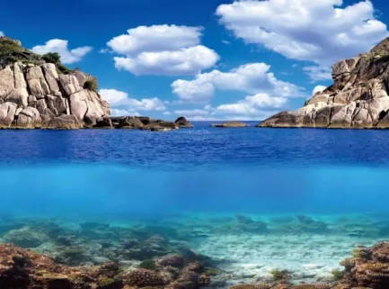 Акваріумний задній фон Aqua Nova Рослини/Океан 150x60см (PLANTS/OCEAN XL) — Фото 3