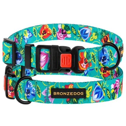 Нашийник для собак BronzeDog Urban Folk нейлоновий з пластиковою пряжкою ментоловий M