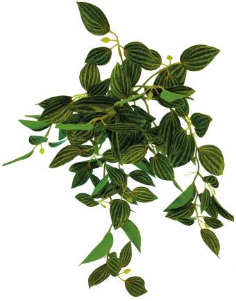 REPTO PLANT HANGING GREEN 46CM (R5100415) Штучна рослина для тераріума