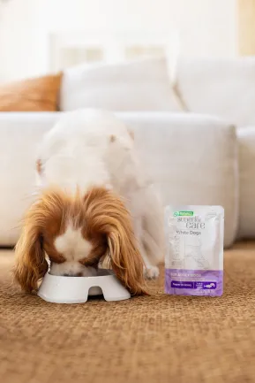 Nature's Protection Superior Care White Dogs Adult Tuna &amp; Salmon Додатковий вологий корм для собак з білим забарвленням з тунцем і лососем, 70 г — Фото 2