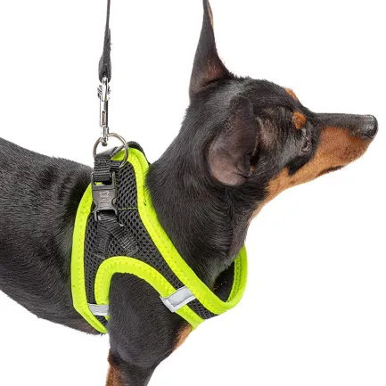 Ferplast KAORI P XS HARNESS BLACK/YELL Шлея,чорно-жовта — Фото 4
