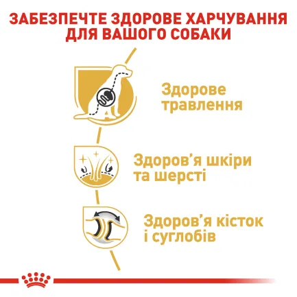 Сухий корм Royal Canin GERMAN SHEPHERD ADULT для дорослих собак породи Німецька вівчарка 11 кг — Фото 2