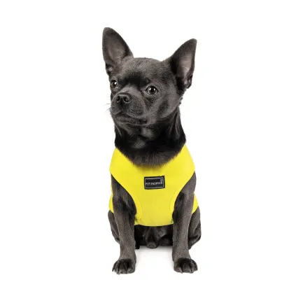 Борцівка Pet Fashion «Puppy» для собак, розмір XS2, жовта — Фото 2